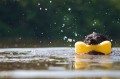 gettyimages-140792099-612x612.jpg
