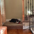 guest_cfb67013-da26-4055-952f-af9cb61d28c6.jpeg