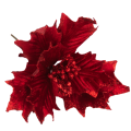 cv09145-3_1.png