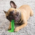 drop-shipping-dog-toothbrush-toy-bristly-brushing-stick-pet-molars-toothbrush-fo.jpg