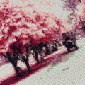 tg64203-10_7.jpg