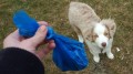 doggie-doo-poop-bag.jpg