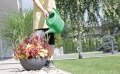 spring_iksp_aranz_02-600x373.png