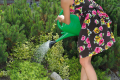 spring_iksp_aranz_03-600x402.png