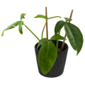 dsr130-s433_7.png