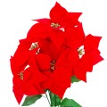 cv28920_2.jpg