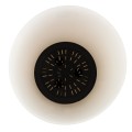 dgtl240-s449_5.jpg