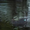 tg71079_8.jpg