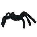 tg53254_3.png