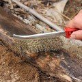 aukcja_5_10598341598.jpg