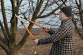 tree-loppers-082318-copy-min.jpg
