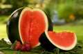 sugarbabywatermelon.jpg