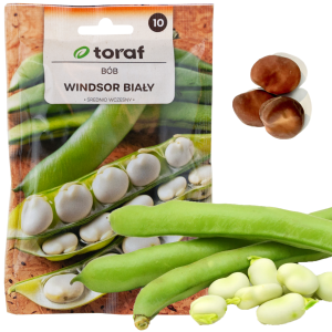 W1006 NASIONA BÓB WINDSOR BIAŁY BOBU ŚREDNIO WCZESNY BARDZO PLENNY 50G