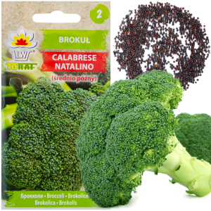 W1008 BROKUŁ NASIONA brokuła CALABRESE NATALINO PLENNY ŹRÓDŁO WITAMIN ŁATWA UPRAWA