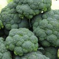 semi-broccoli-calabresi.jpg