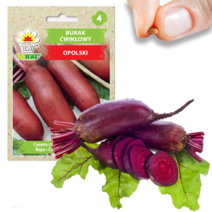 W1014 BURAK NASIONA BURAKA ĆWIKŁOWY BURAKI PODŁUŻNY OPOLSKI WARZYWO PLENNY 10G