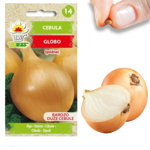 W1020 CEBULA NASIONA CEBULI GLOBO PÓŹNA BARDZO DUŻE CEBULE GIGANT SAŁATKOWA 2G