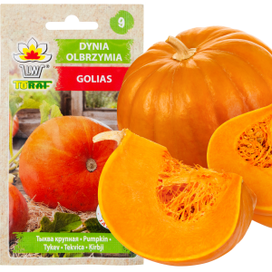 W1038 DYNIA OLBRZYMIA GOLIAS CUCURBITA MAXIMA NASIONA DYNIA OWOCE DO 30KG 4G