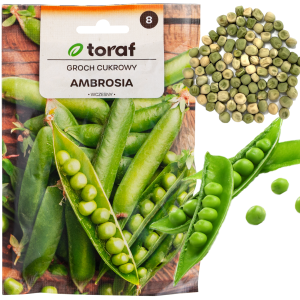 W1062 GROSZEK CUKROWY GROCH AMBROSIA WCZESNY NASIONA GROCHU GROSZKU PLENNY 50G