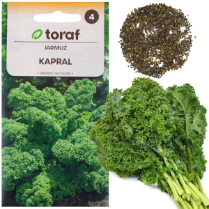 W1066 NASIONA JARMUŻU JARMUŻ KAPRAL ZIELONY  ŚREDNIOWCZESNY ODPORNY ZDROWY 1g