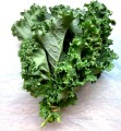 30-kale-collard-seeds-beej-wala-original-imagj3wdj2nhvfva.jpg