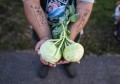 kohlrabi555.jpg
