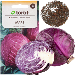 W1086 KAPUSTA NASIONA KAPUSTY GŁOWIASTA CZERWONA MARS ŚREDNIOWCZESNA DO SURÓWEK