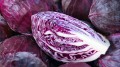 red-cabbage.jpg