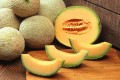 muskmelons-387466_1920-1.jpg