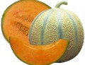 melon-cantaloupe-di-charentais-_-organic-730x565-1.jpg