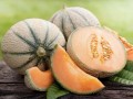 melon-malaga-2__26658.jpg