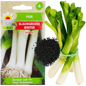 W1177 POR NASIONA PORA BLAUWGROENE WINTER TYP ALASKA PÓŹNY ODPORNY NA MROZY 1G