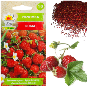 W1181 POZIOMKA NASIONA POZIOMKI RUGIA  PLENNA SOCZYSTE OWOCE NAJSŁODSZA 0,2G