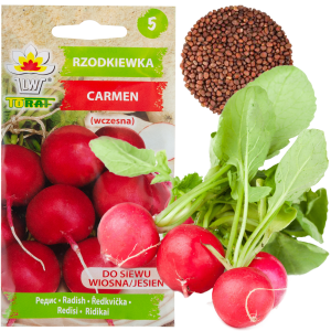 W1194 RZODKIEWKA NASIONA RZODKIEWKI  CARMEN CZERWONA WCZESNA ŁAGODNA NIE PARCIEJE 10G