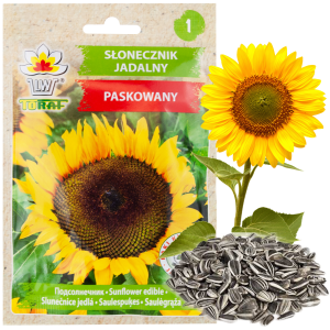 W1231 SŁONECZNIK OGRODOWY JADALNY PASKOWANY NASIONA DO WYSIEWU SŁONECZNIKA 10G
