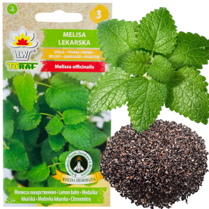 Z3019 MELISA LEKARSKA NASIONA DO SADZENIA MELISY ZIÓŁ LECZNICZE ROŚLINA MIODODAJNA 0,5G