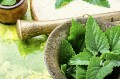 melissa-officinalis.jpg2_.jpg