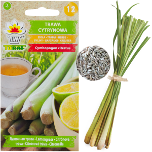 Z3034 TRAWA CYTRYNOWA NASIONA ZIÓŁ ZIOŁA LEMONGRASS WŁAŚCIWOŚCI ZDROWOTNE 0,1G