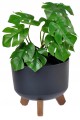 doniczka-misa-na-nozkach-antracyt-czarna-wklad-200-s-20-cm-x-w-17-5-cm-marka-duda-pol.jpg