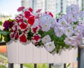 doniczka-skrzynka-donica-wiszaca-na-balustrade-okno-balkon-taras-misa-biala-kod-producenta-ddecz400.jpg