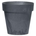 1186d46.jpg