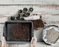 sito-ogrodowe-prostokatne-40cm-x-30cm-respana-garden-sieve-aranzacja.png
