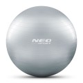 pilka-do-cwiczen-65-cm-ns-951_24171.jpg