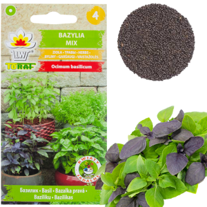 Z3129 BAZYLIA MIX ODMIAN i KOLORÓW BAZYLII AROMATYCZNA DO KUCHNI WŁOSKIEJ 1G