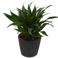 dsr130-s433_6_2_1.png