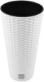 51pu6rpngtl._ac_sl1500__1.jpg