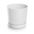 dpop350-s449.jpg