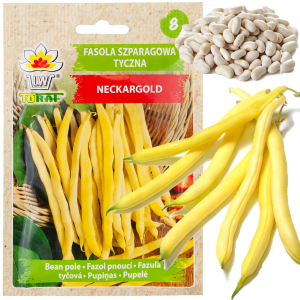 W3587 FASOLA SZPARAGOWA TYCZNA 10G NECKARGOLD NASIONA FASOLI ŻÓŁTA