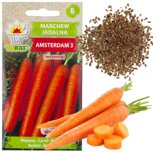 W0364 MARCHEW AMSTERDAM 3 NASIONA MARCHWI 5G AMSTERDAMSKA WCZESNA