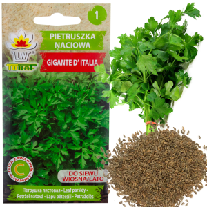 W3754 PIETRUSZKA NACIOWA GIGANTE D"ITALIA 2G NASIONA BARDZO PLENNA AROMATYCZNA